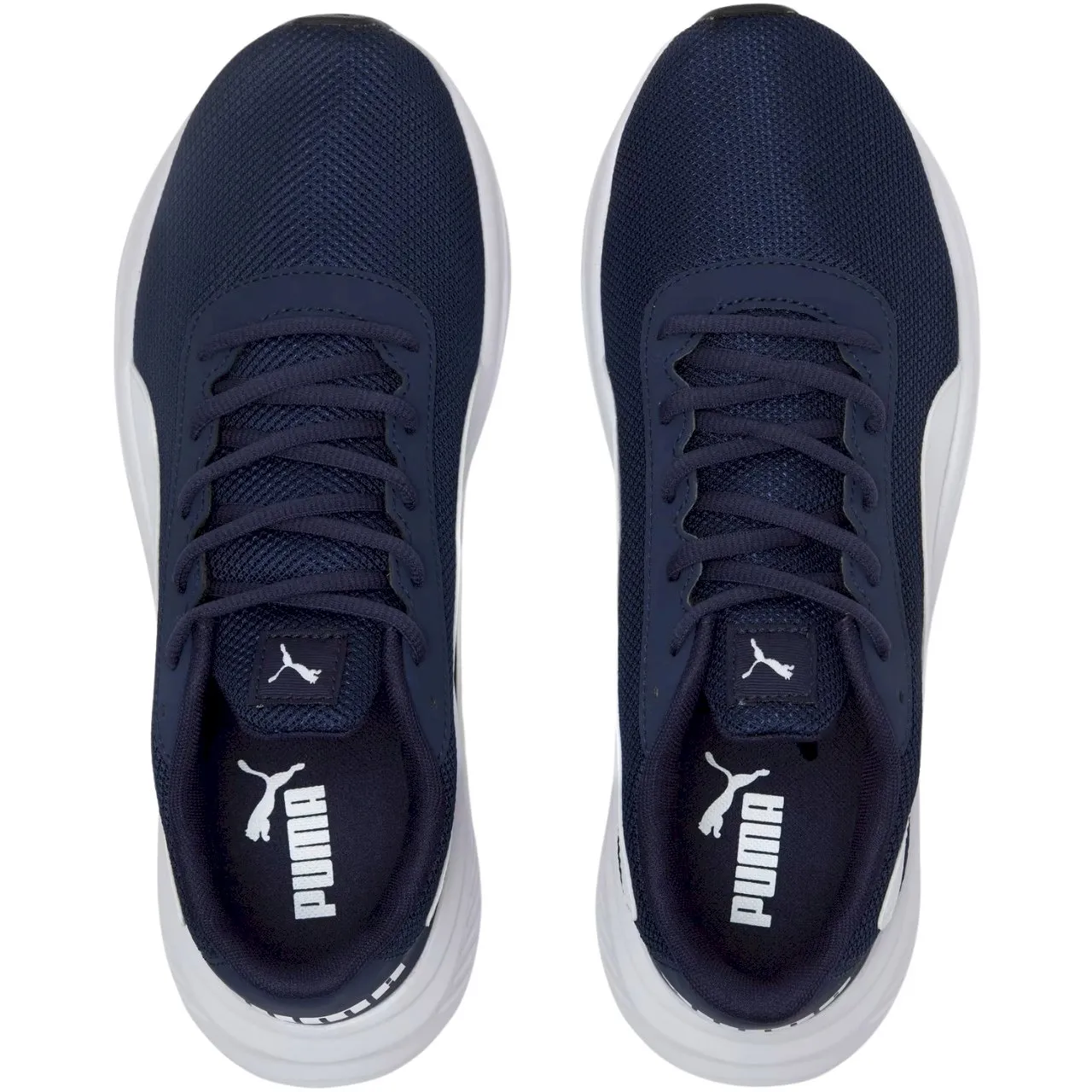 Moški športni copati Puma Night Runner V2 379257 03