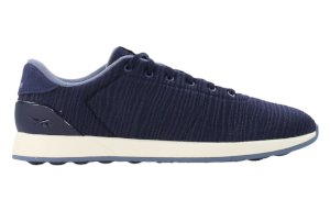 Scarpe da uomo Reebok Ever Road DM FZ5537