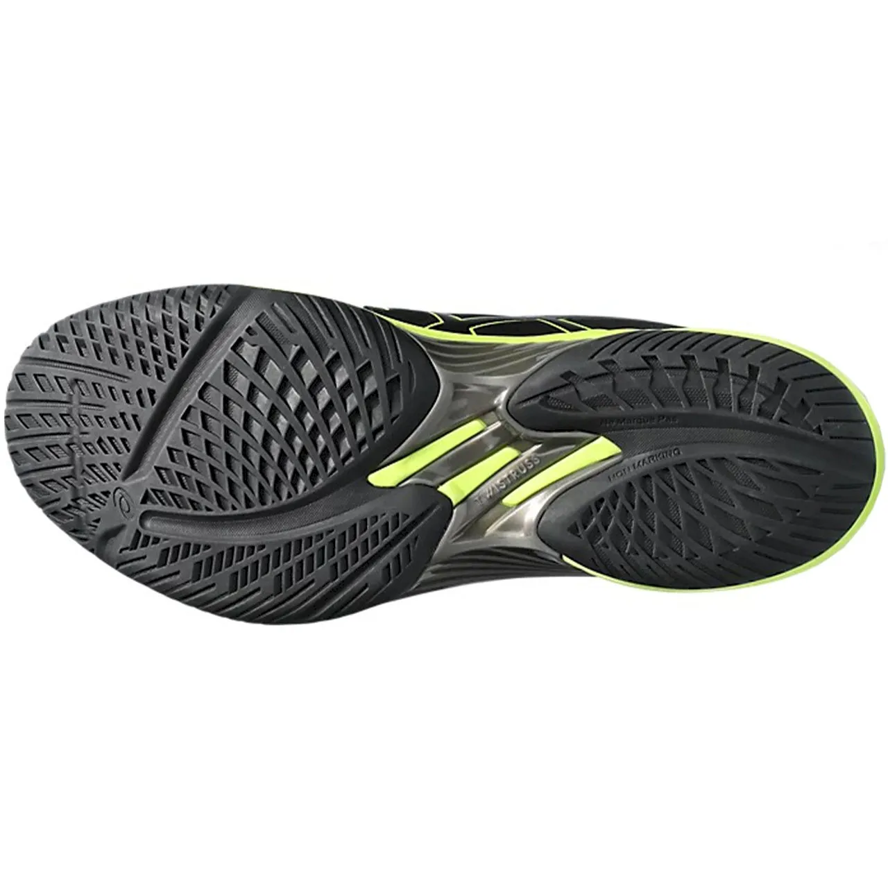 Vīriešu apavi Asics Sky Elite FF 2 1051A064 004