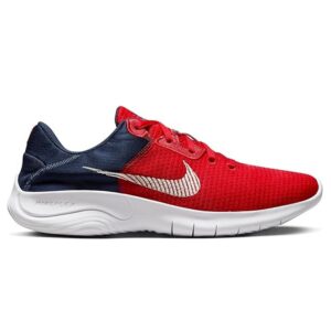 Men's shoes Nike FLEX EXPERIENCE RN 11 NN DD9284-601
